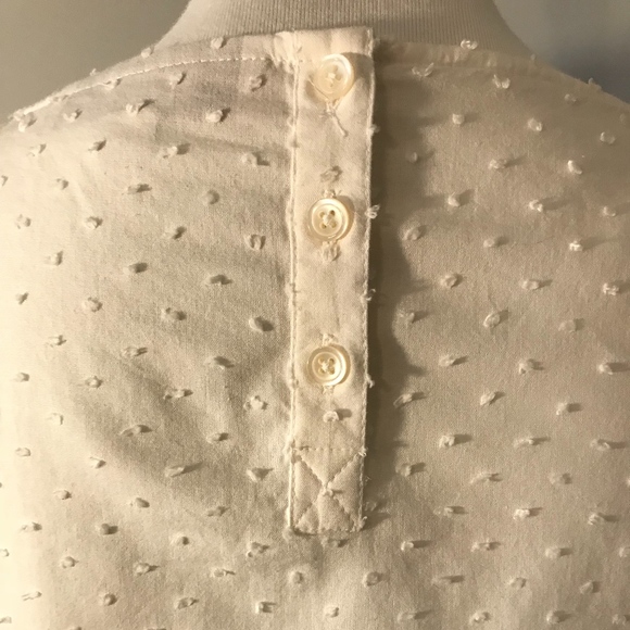 LOFT Top - Picture 4 of 6